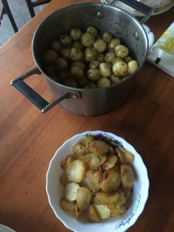 IMG_3900.JPG